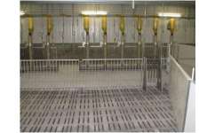 濰坊現代化養豬設備供貨商 性價比高的養殖解決方案