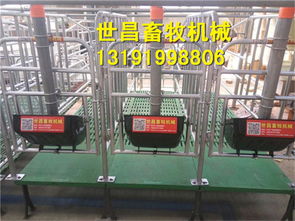 豬限位欄報價與廠家選擇指南