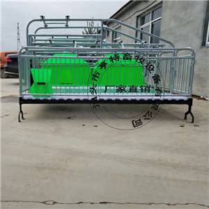 湖北十堰豬舍現(xiàn)代化升級 母豬雙體產(chǎn)床分娩欄的采購與應(yīng)用指南